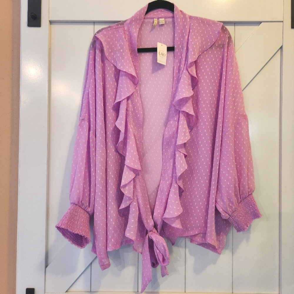 Cato Sheer Overpeice Blouse